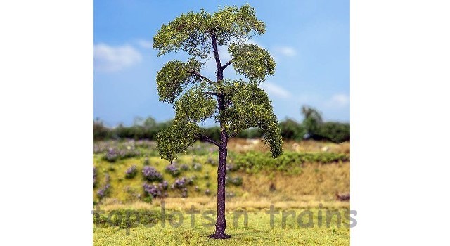 Faller 181177 OO/HO/N Scale Trees - 1 X Premium Black Poplar Tree - Approx 140 mm